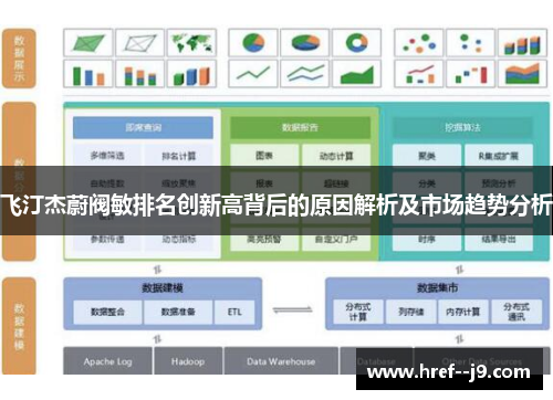 飞汀杰蔚阀敏排名创新高背后的原因解析及市场趋势分析