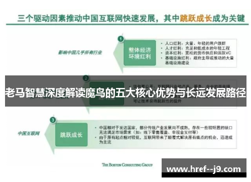 老马智慧深度解读魔鸟的五大核心优势与长远发展路径 老马智慧深度解读魔鸟的五大核心优势与长远发展路径