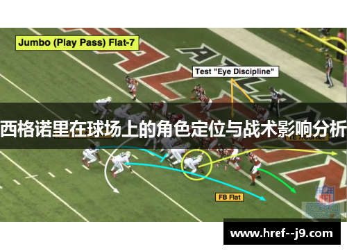 西格诺里在球场上的角色定位与战术影响分析 西格诺里在球场上的角色定位与战术影响分析