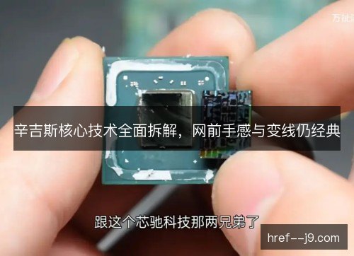 辛吉斯核心技术全面拆解,网前手感与变线仍经典 辛吉斯核心技术全面拆解,网前手感与变线仍经典